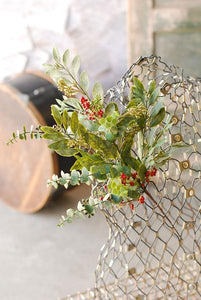 Eucalyptus and Seeds Spray