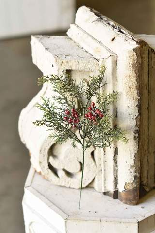 Icy Red Cedar with Berries 15