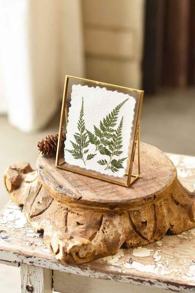 Floating Frame / Fine Leaf Fern