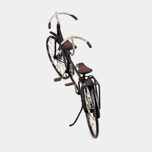 Tandem Bike